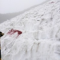 雷鳥沢の登りです。ちょっと急な斜面です。