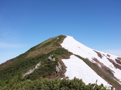 大日岳鞍部から大日岳頂上までの登山道。こちらもまだまだ雪がべったりです。