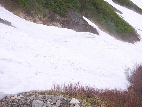 雷鳥沢から新室堂乗越までの登山道