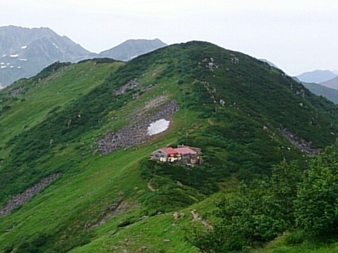 DSC_0883_1.jpg