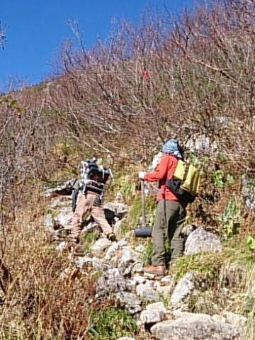 DSC_1117_1.jpg