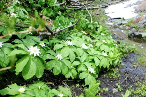 DSCF0929 DSCF0929