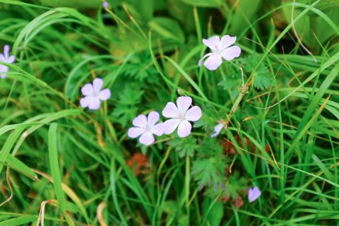 DSCF1185 DSCF1185
