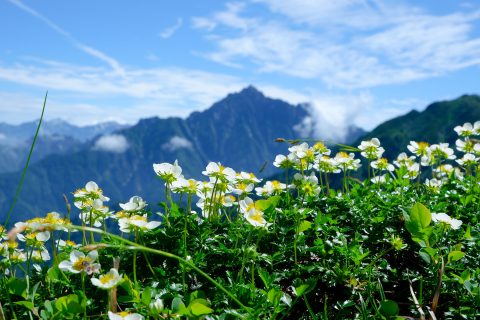 DSCF8460 DSCF8460