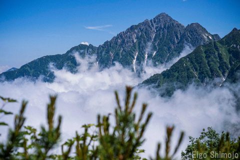 DSC_5575 DSC_5575
