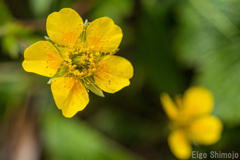 DSC_6738 DSC_6738