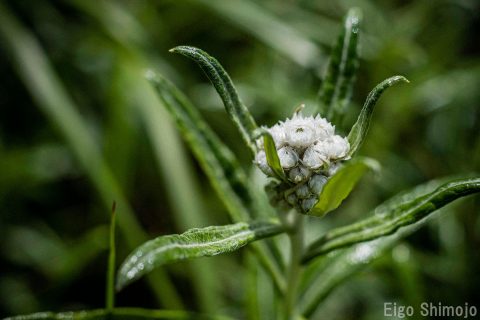 DSC_6765 DSC_6765