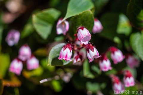 DSC_6781 DSC_6781