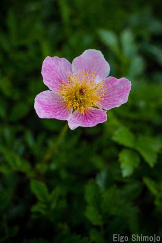 DSC_6937 DSC_6937