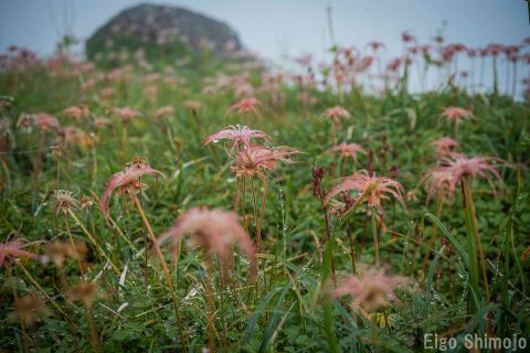 DSC_8997 DSC_8997
