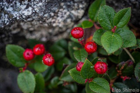 DSC_9050 DSC_9050